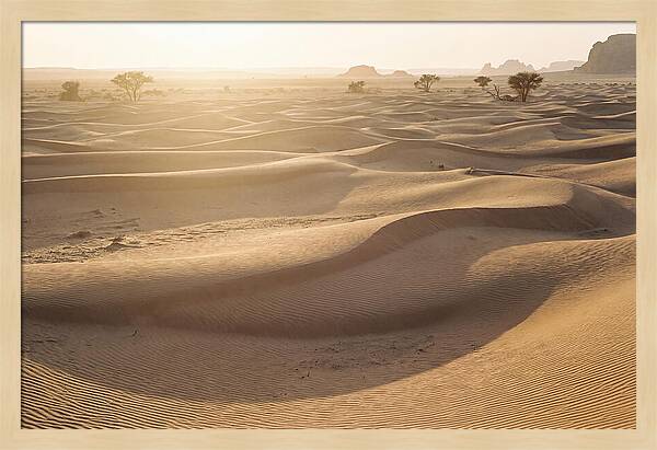 Endless Dunes Of White Sands