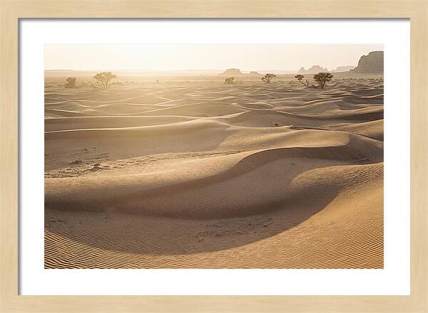 Endless Dunes Of White Sands