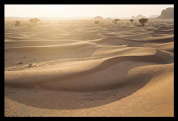 Endless Dunes Of White Sands