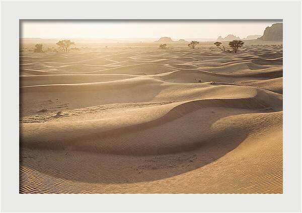 Endless Dunes Of White Sands