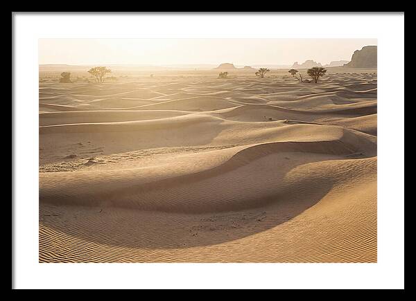 Endless Dunes Of White Sands