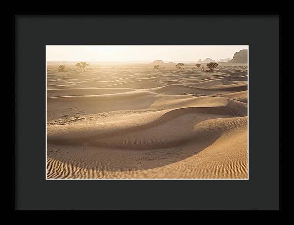 Endless Dunes Of White Sands