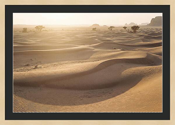 Endless Dunes Of White Sands