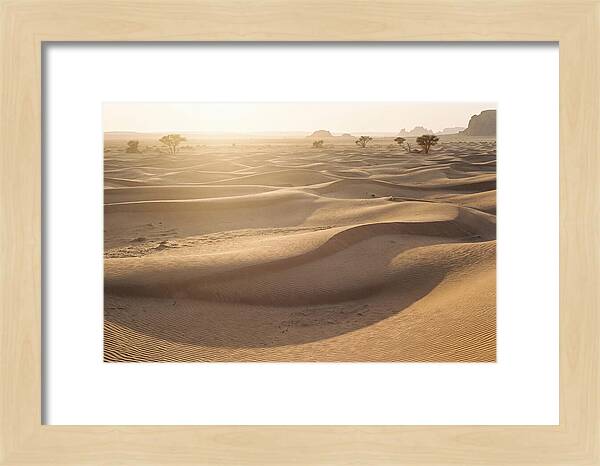 Endless Dunes Of White Sands