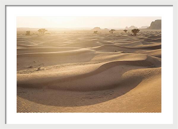 Endless Dunes Of White Sands