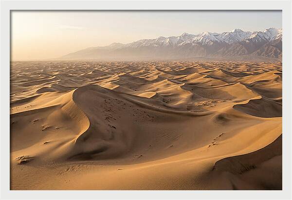 Endless Waves Of Sand