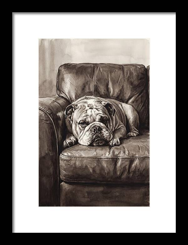 English Bulldog Relaxing On Couch