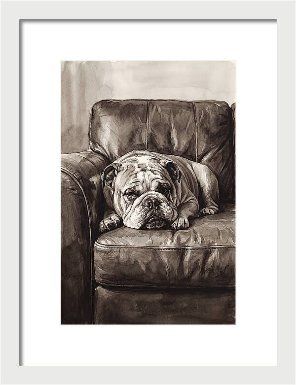 English Bulldog Relaxing On Couch