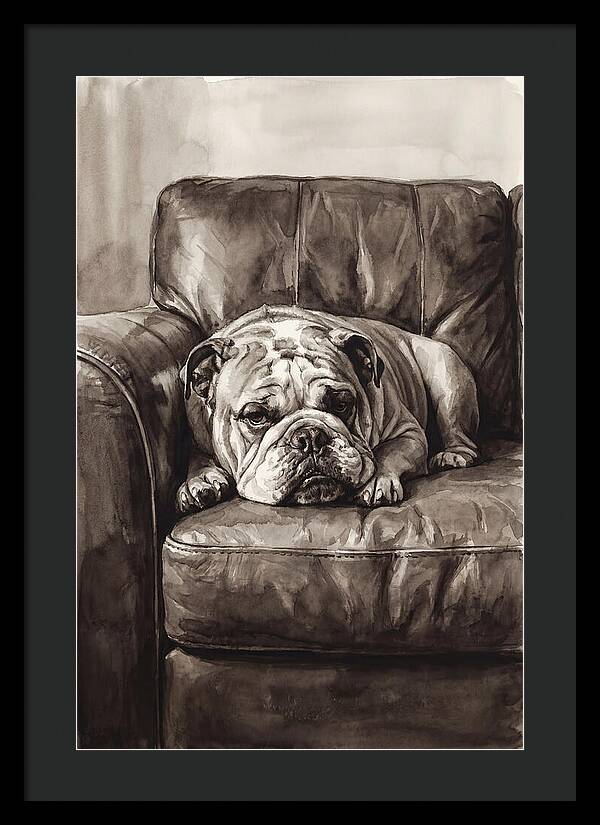 English Bulldog Relaxing On Couch