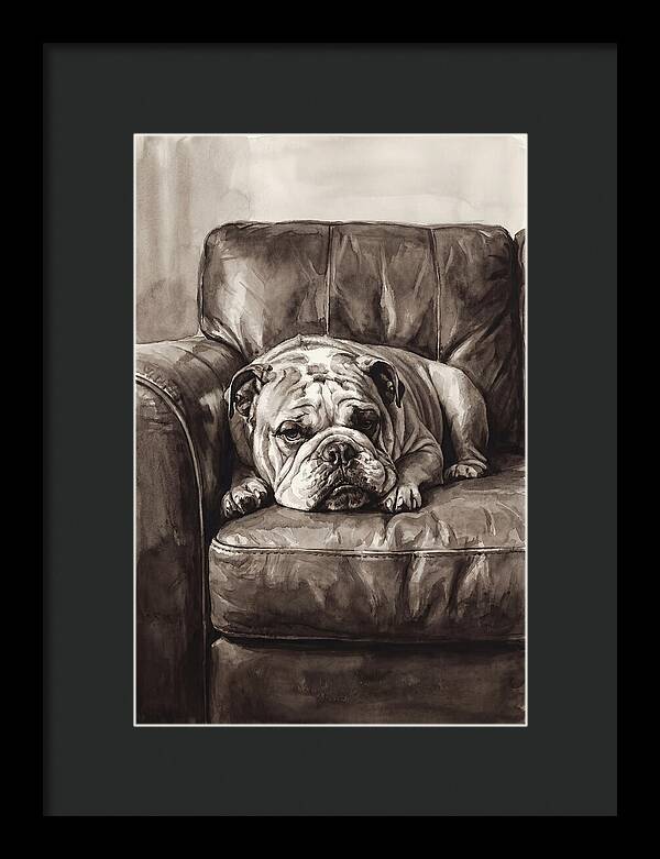 English Bulldog Relaxing On Couch