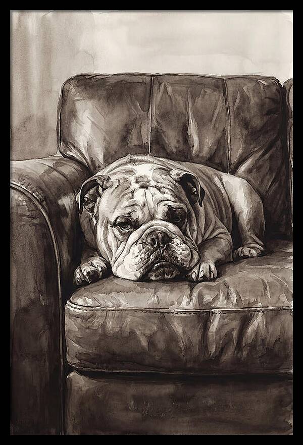 English Bulldog Relaxing On Couch