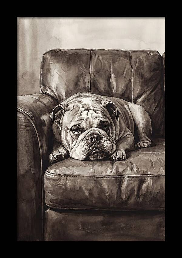 English Bulldog Relaxing On Couch