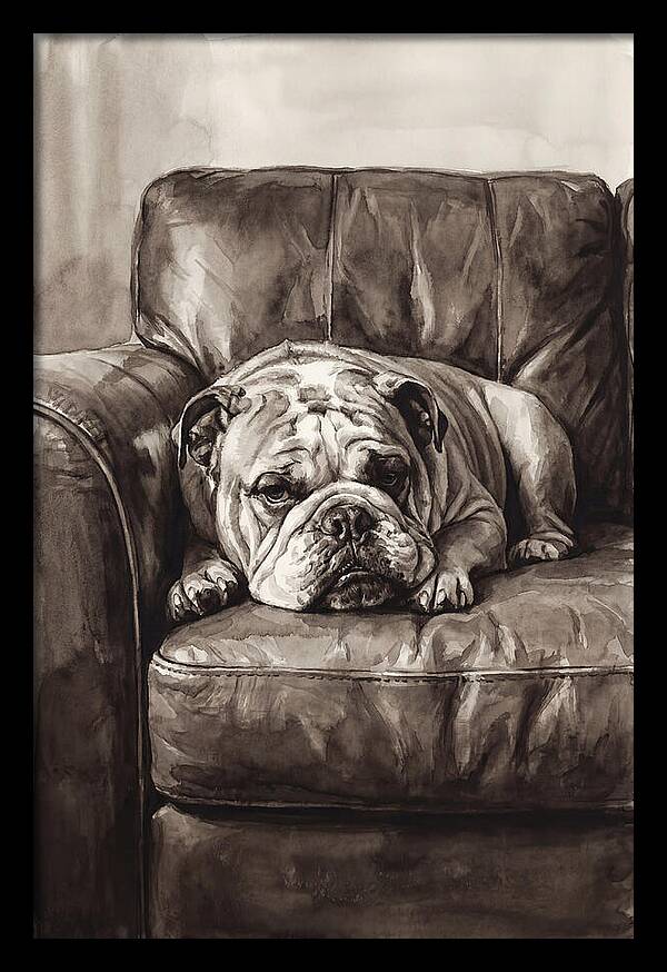 English Bulldog Relaxing On Couch