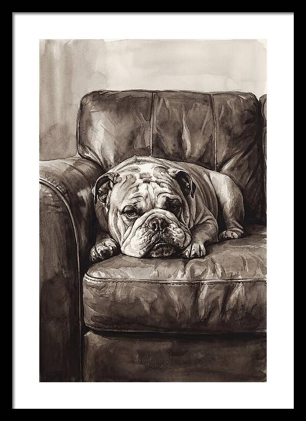 English Bulldog Relaxing On Couch