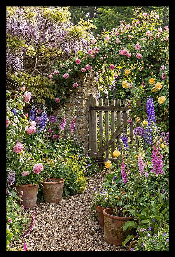 English Cottage Garden