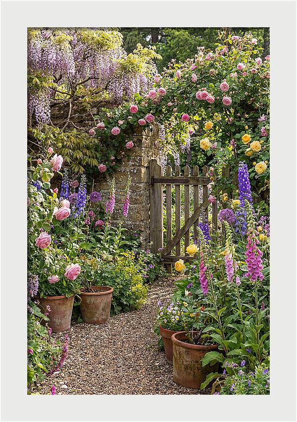 English Cottage Garden