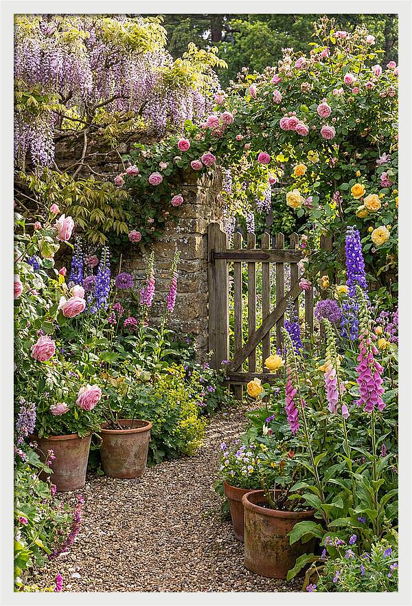 English Cottage Garden