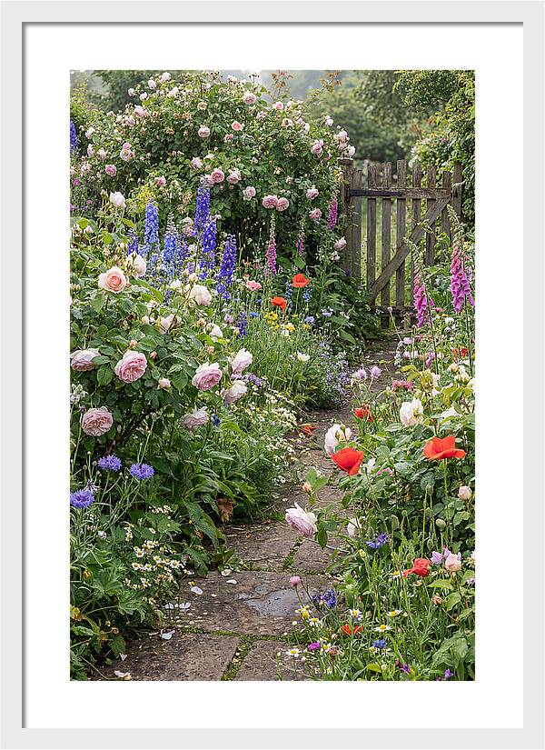 English Cottage Garden Pathway