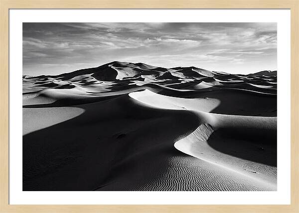 Erg Chebbi Dunes In Monochrome