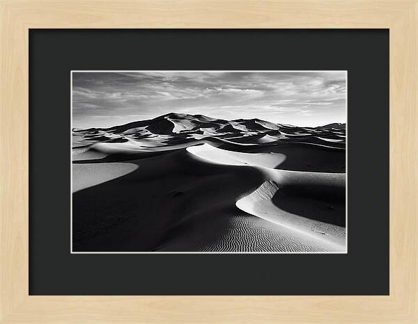 Erg Chebbi Dunes In Monochrome