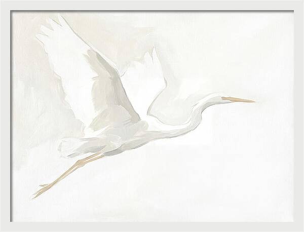 Ethereal Egret In Flight