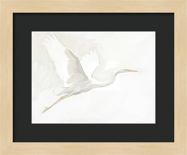 Ethereal Egret In Flight