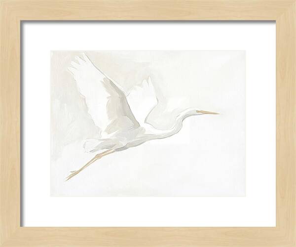 Ethereal Egret In Flight