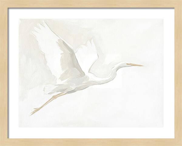 Ethereal Egret In Flight