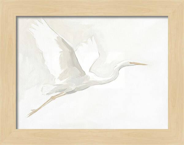 Ethereal Egret In Flight