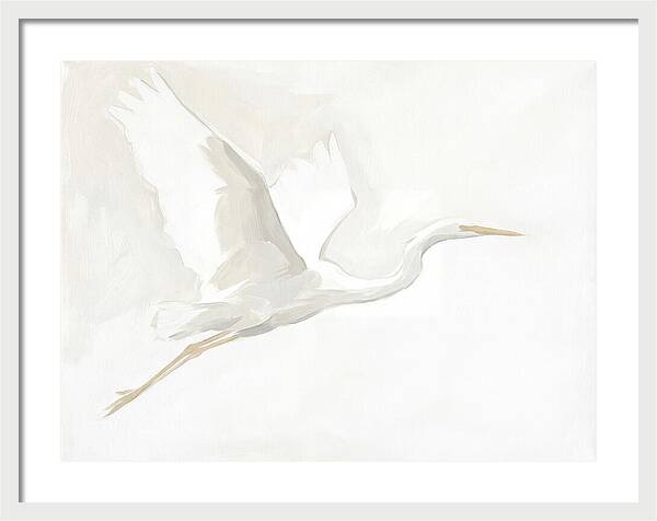 Ethereal Egret In Flight