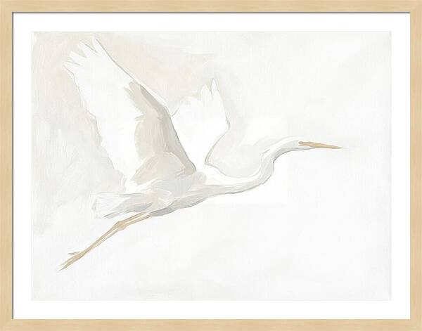Ethereal Egret In Flight