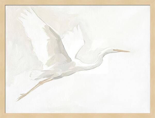 Ethereal Egret In Flight
