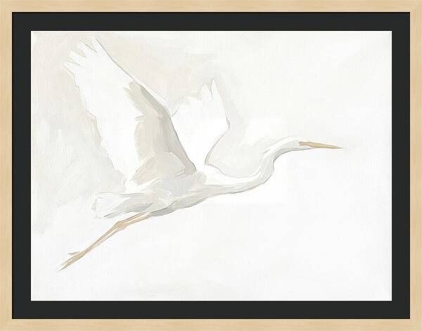 Ethereal Egret In Flight