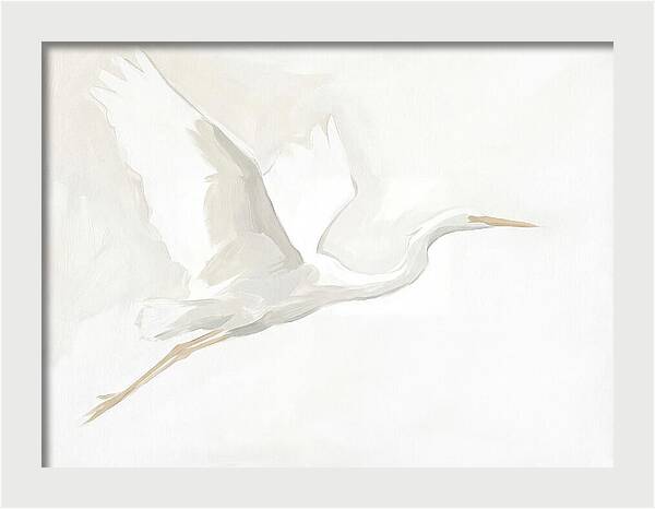 Ethereal Egret In Flight