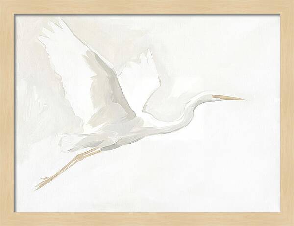 Ethereal Egret In Flight