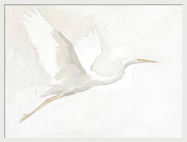 Ethereal Egret In Flight