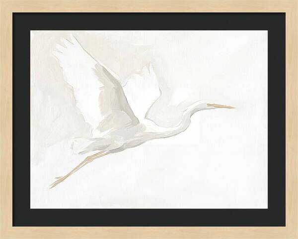 Ethereal Egret In Flight