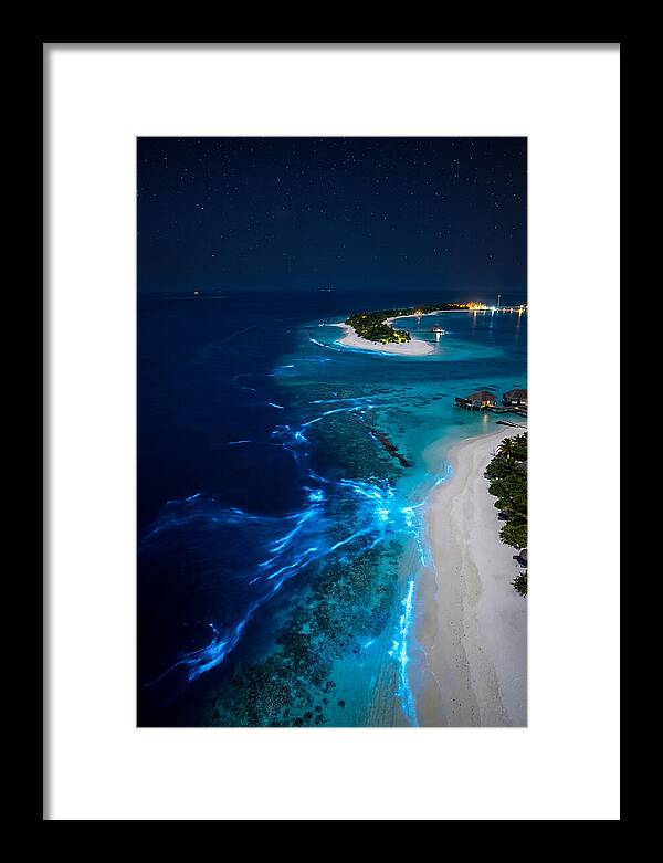 Ethereal Waves Under Starlit Skies