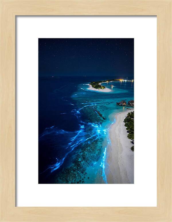 Ethereal Waves Under Starlit Skies