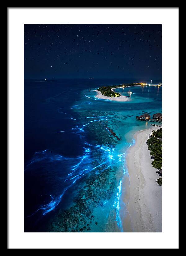 Ethereal Waves Under Starlit Skies
