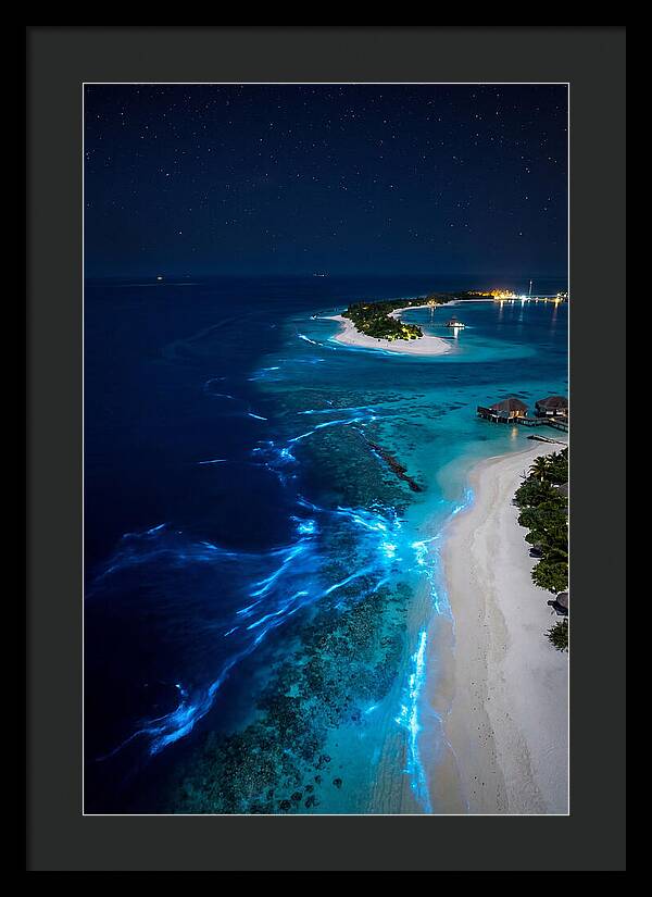 Ethereal Waves Under Starlit Skies