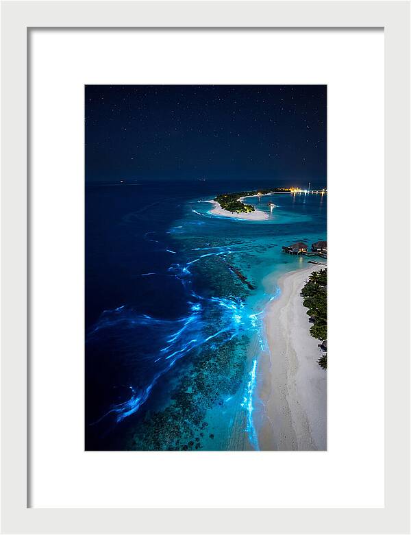 Ethereal Waves Under Starlit Skies