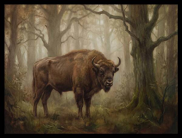 European Bison In Misty Forest