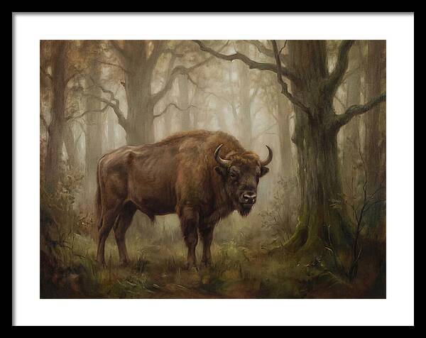 European Bison In Misty Forest