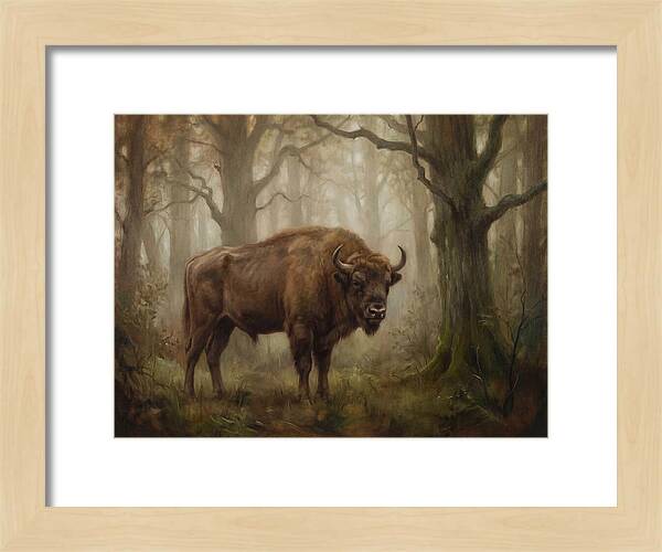European Bison In Misty Forest