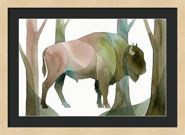 European Bison In Nature