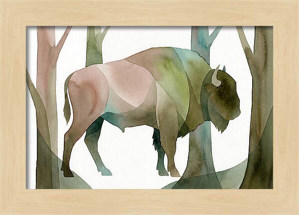 European Bison In Nature