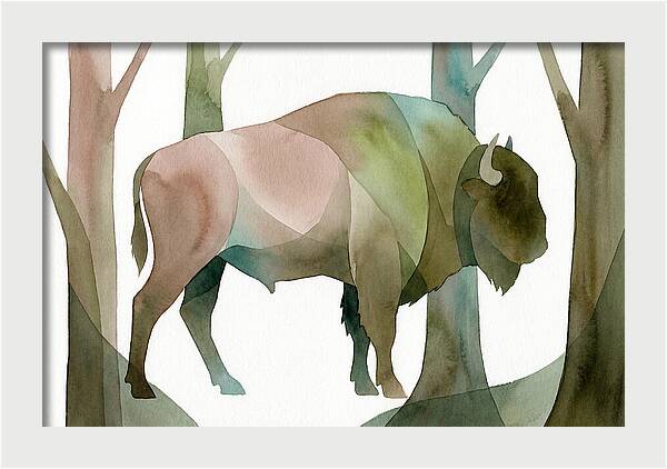 European Bison In Nature