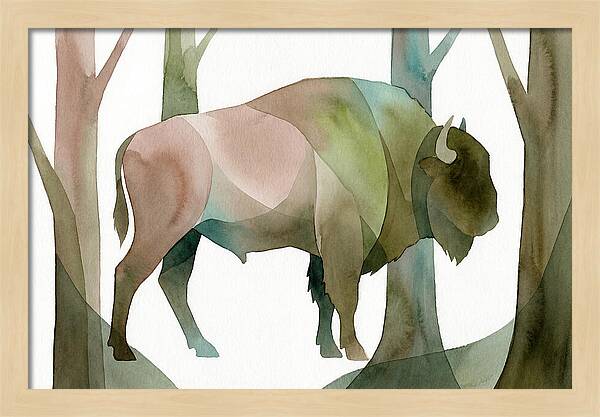 European Bison In Nature