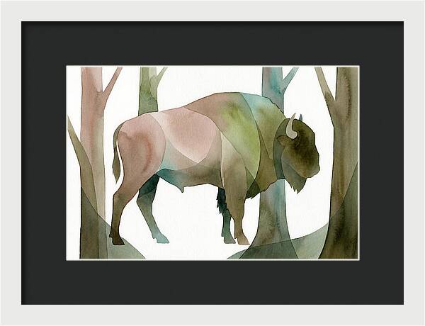 European Bison In Nature
